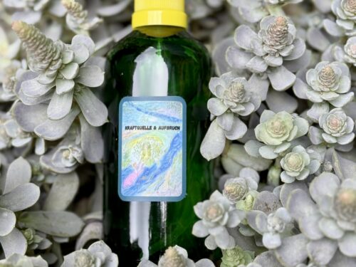 Spirituelles Kraft-Spray Kraftquelle & Aufbruch